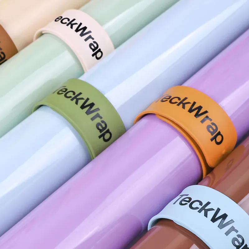 Silicone Vinyl Slap Bracelets 6pk, Jordfarger
