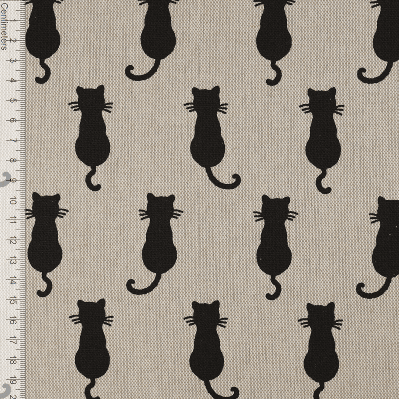 Black Cats - Kanvas