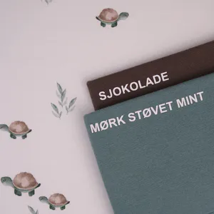 Bilde av Turtle Tim - Økologisk Jersey