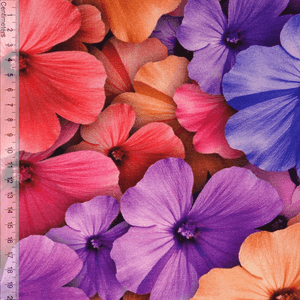 Hovedbilde Ginnie - Jersey