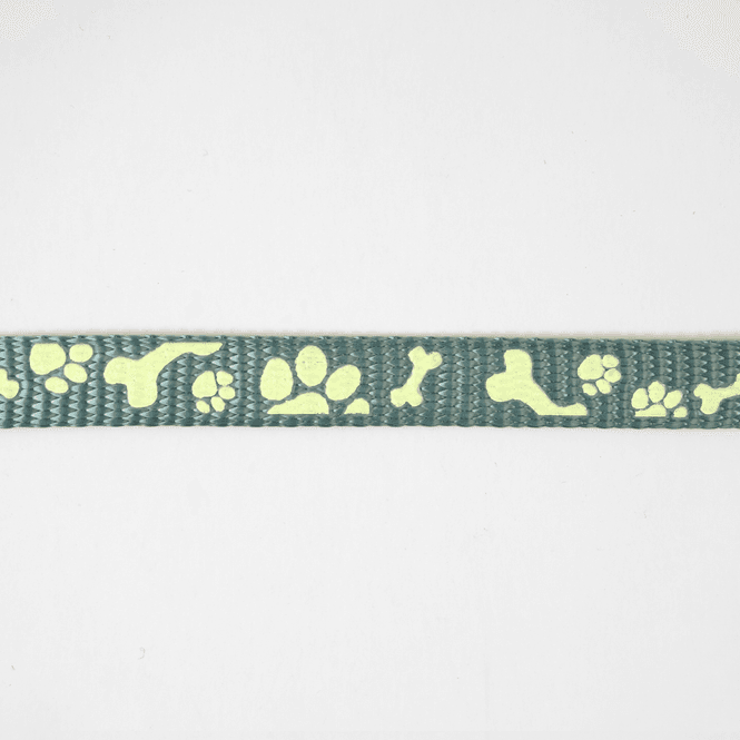 Hovedbilde Hund Teal - 10 mm Selvlysende Bånd