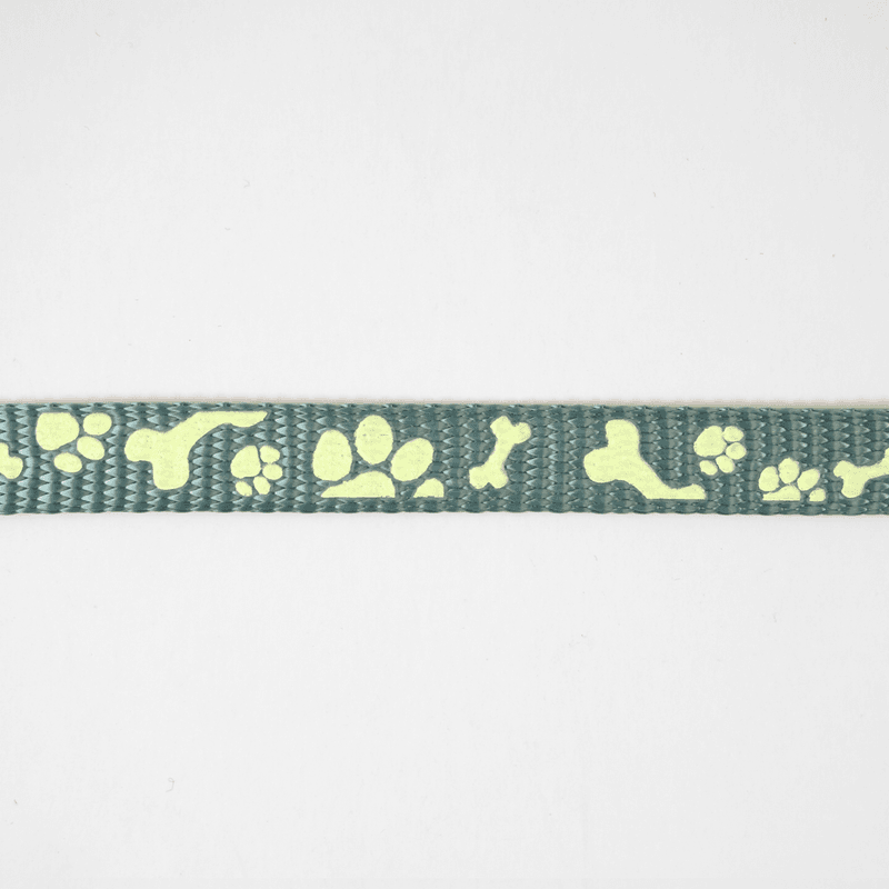 Hund Teal - 10 mm Selvlysende Bånd