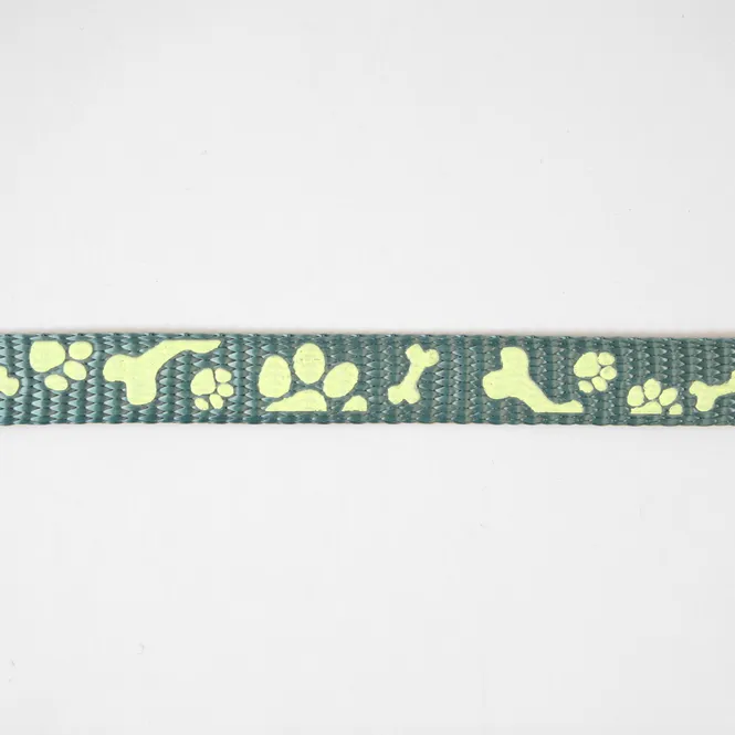 Hovedbilde Hund Teal - 10 mm Selvlysende Bånd