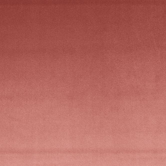 Hovedbilde Rose - Velour Carol