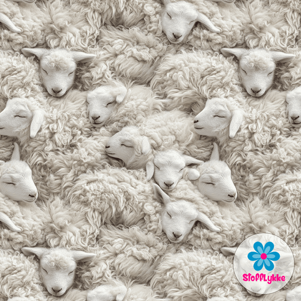 Lamb Dreams - Jersey