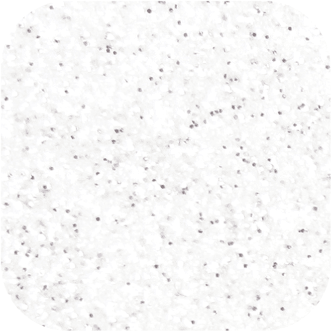 Hovedbilde HTV Sandy Glitter Hvit 50x30cm